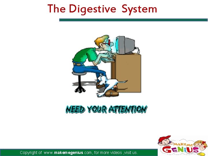 The Digestive System Copyright of www. makemegenius. com, for more videos , visit us.