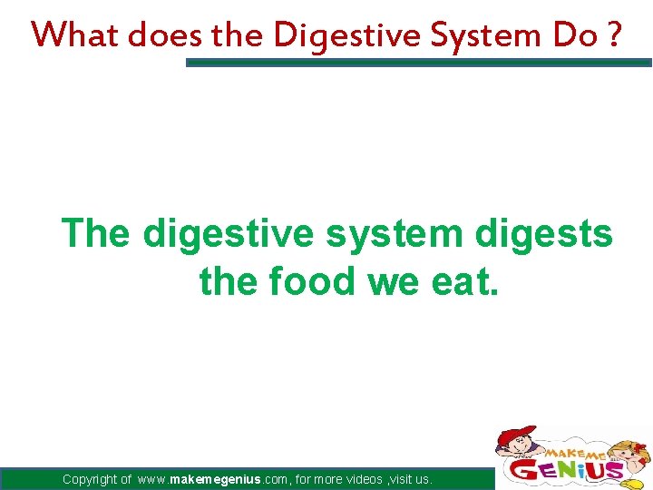 What does the Digestive System Do ? The digestive system digests the food we