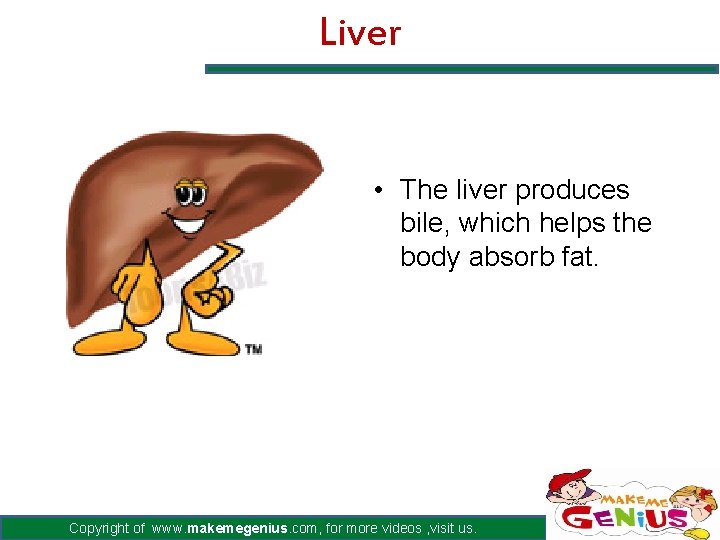 Liver • The liver produces bile, which helps the body absorb fat. Copyright of