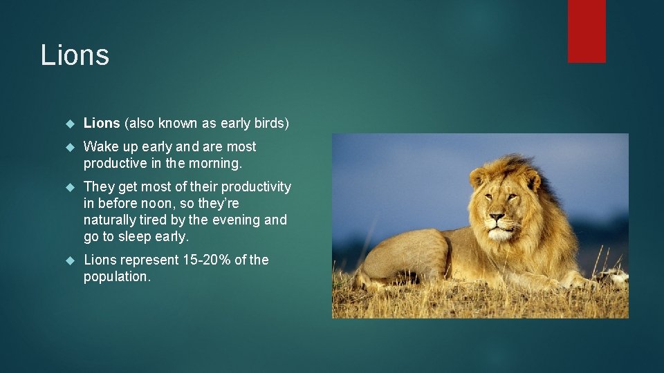 Lions (also known as early birds) Wake up early and are most productive in