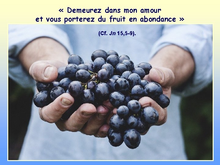  « Demeurez dans mon amour et vous porterez du fruit en abondance »