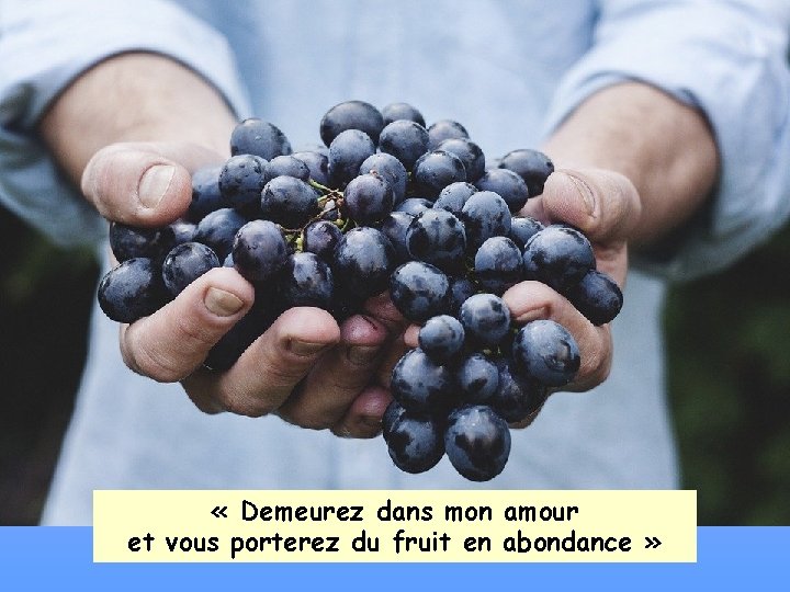  « Demeurez dans mon amour et vous porterez du fruit en abondance »