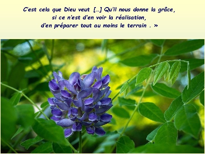 C’est cela que Dieu veut  […] Qu’il nous donne la grâce, si ce n’est