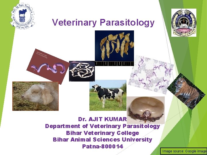 Veterinary Parasitology Dr. AJIT KUMAR Department of Veterinary Parasitology Bihar Veterinary College Bihar Animal