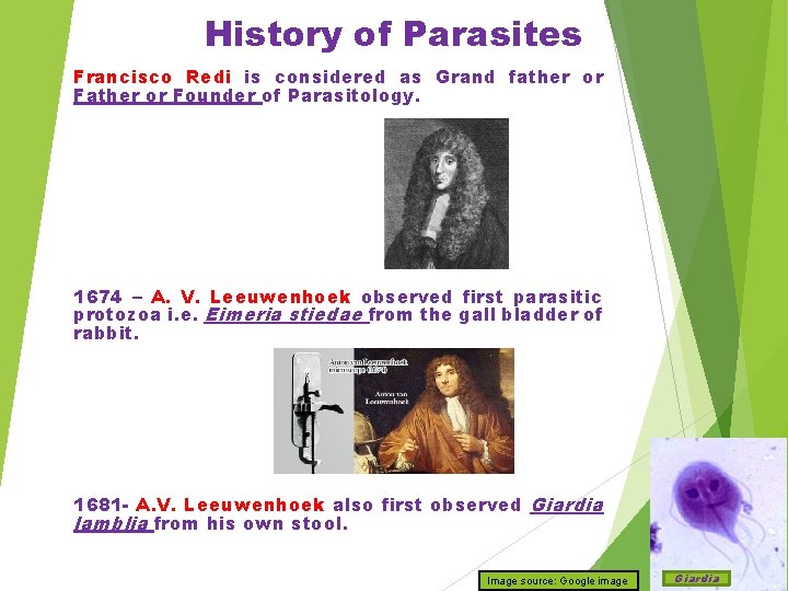 History of Parasites Francisco Redi is considered as Grand father or Founder of Parasitology.