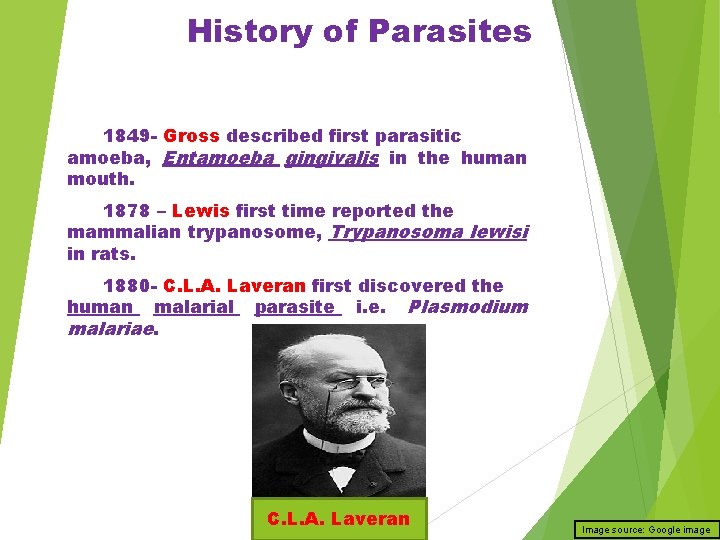 History of Parasites 1849 - Gross described first parasitic amoeba, Entamoeba gingivalis in the