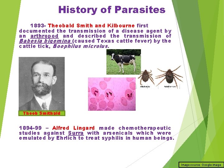 History of Parasites 1893 - Theobald Smith and Kilbourne first documented the transmission of