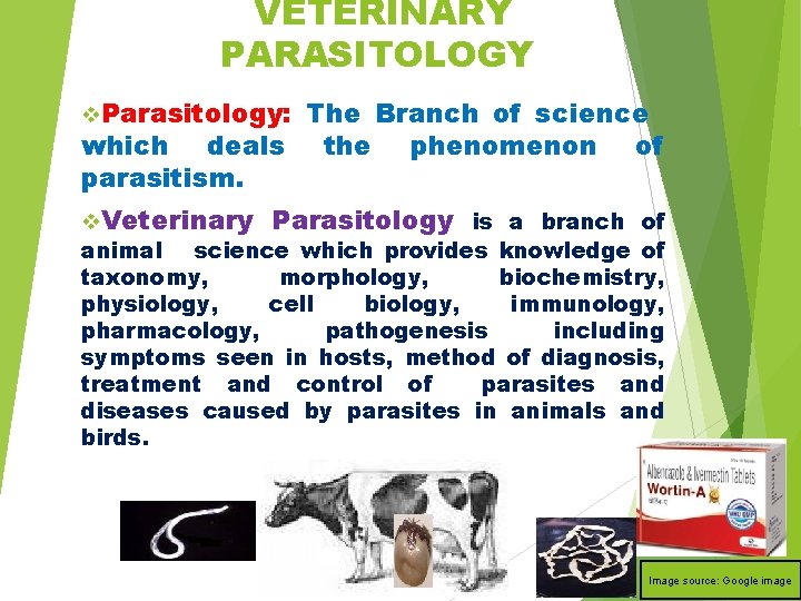 VETERINARY PARASITOLOGY v. Parasitology: The Branch of science which deals the phenomenon of parasitism.