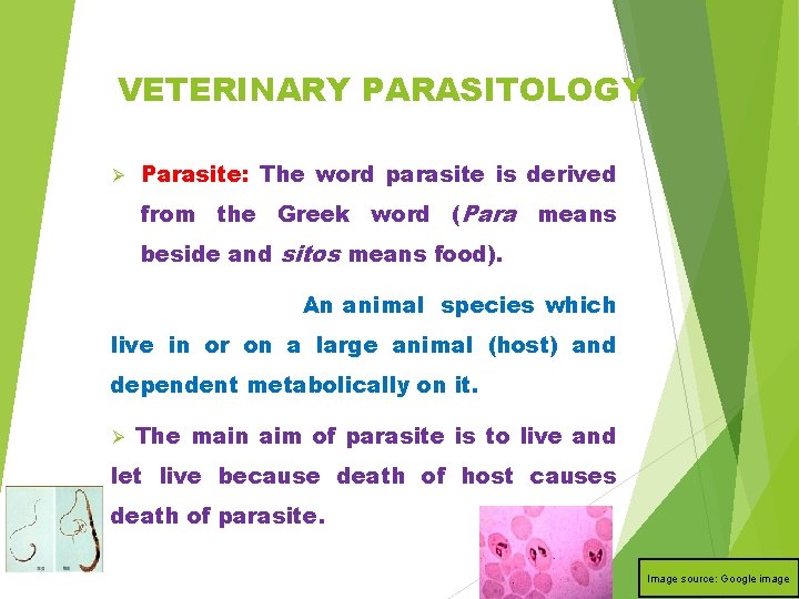 VETERINARY PARASITOLOGY Ø Parasite: The word parasite is derived from the Greek word (Para