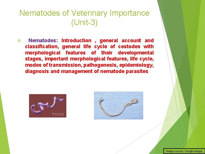 Nematodes of Veterinary Importance (Unit-3) v Nematodes: Introduction , general account and classification, general