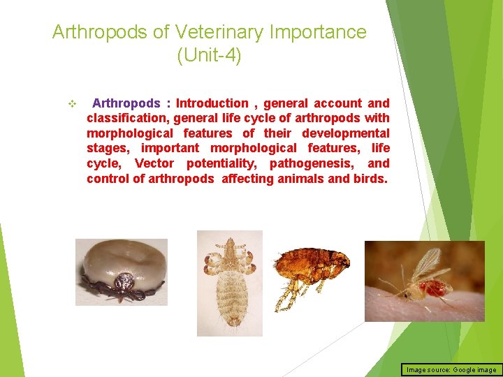 Arthropods of Veterinary Importance (Unit-4) v Arthropods : Introduction , general account and classification,