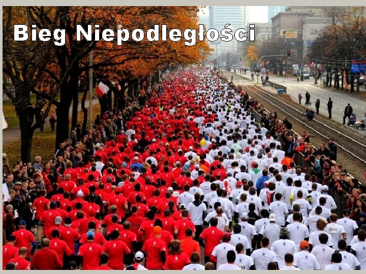 Bieg Niepodległości Bieg nepodległości 