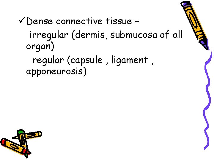 ü Dense connective tissue – irregular (dermis, submucosa of all organ) regular (capsule ,