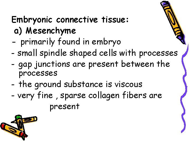 Embryonic connective tissue: a) Mesenchyme - primarily found in embryo - small spindle shaped