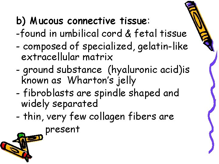 b) Mucous connective tissue: -found in umbilical cord & fetal tissue - composed of