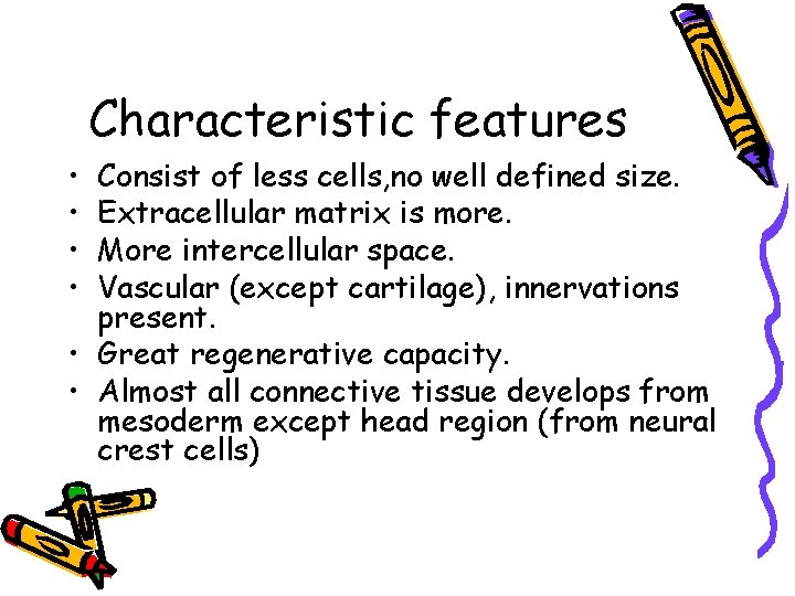 Characteristic features • • Consist of less cells, no well defined size. Extracellular matrix