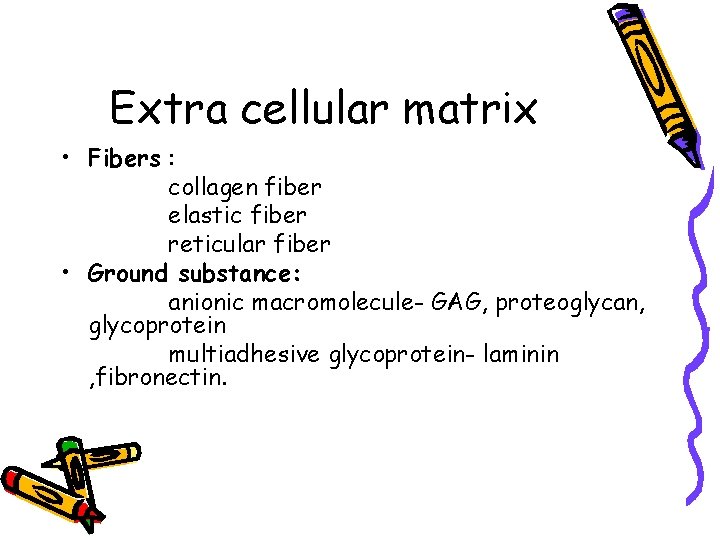 Extra cellular matrix • Fibers : collagen fiber elastic fiber reticular fiber • Ground