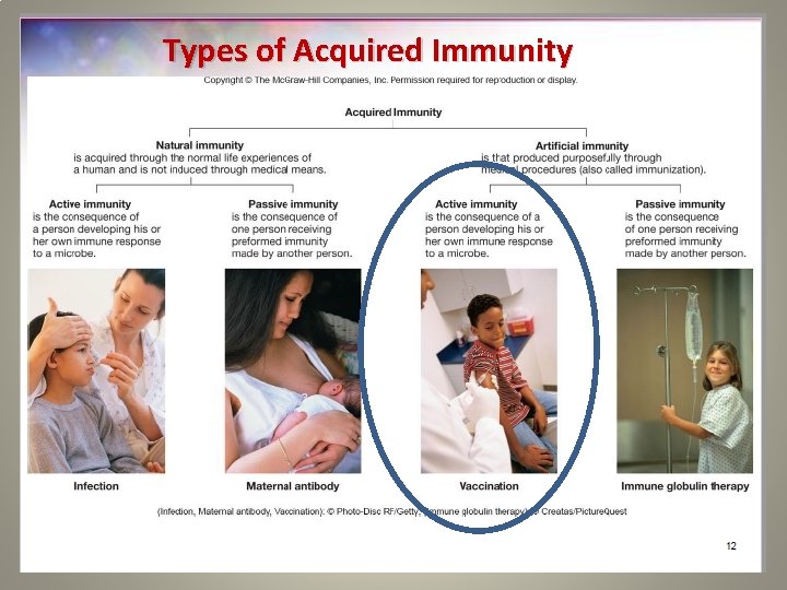 Types of Acquired Immunity 