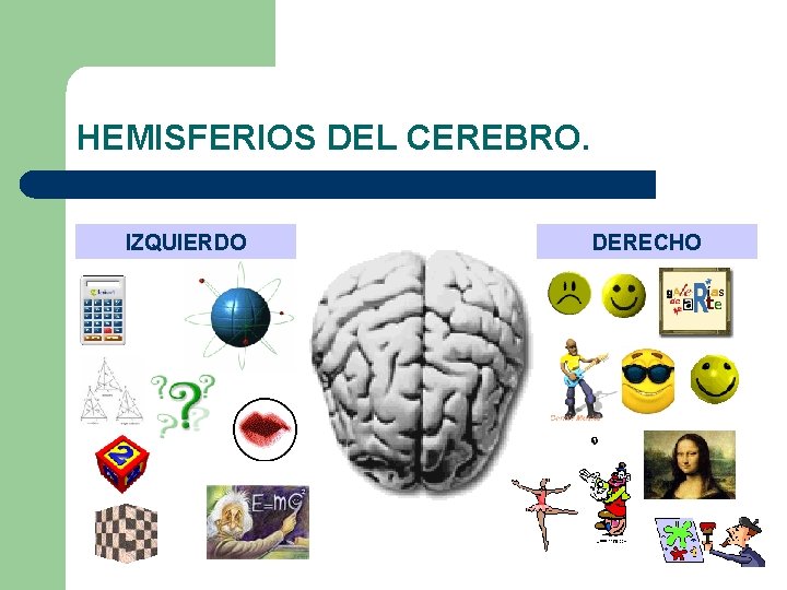 HEMISFERIOS DEL CEREBRO. IZQUIERDO DERECHO 