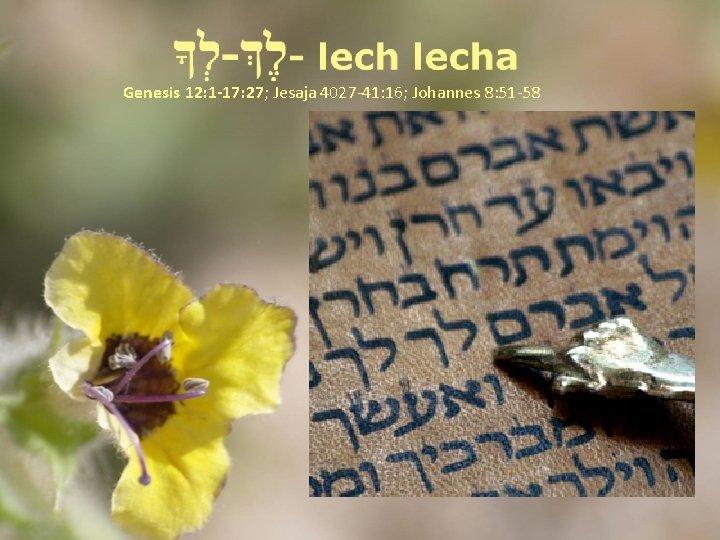 Genesis 12: 1 -17: 27; Jesaja 4027 -41: 16; Johannes 8: 51 -58 