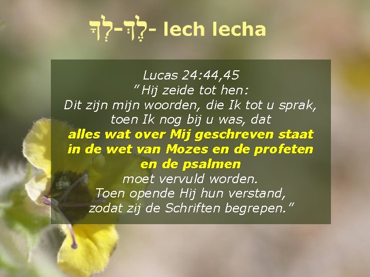 Lucas 24: 44, 45 ” Hij zeide tot hen: Dit zijn mijn woorden, die