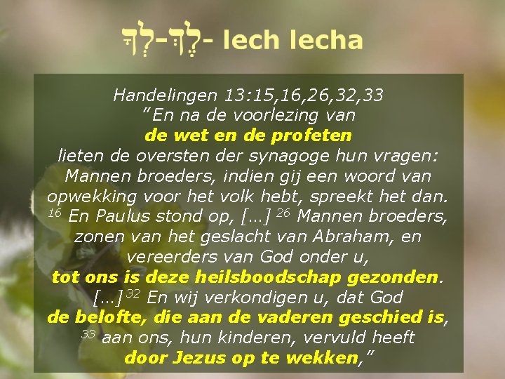 Handelingen 13: 15, 16, 26, 32, 33 ” En na de voorlezing van de