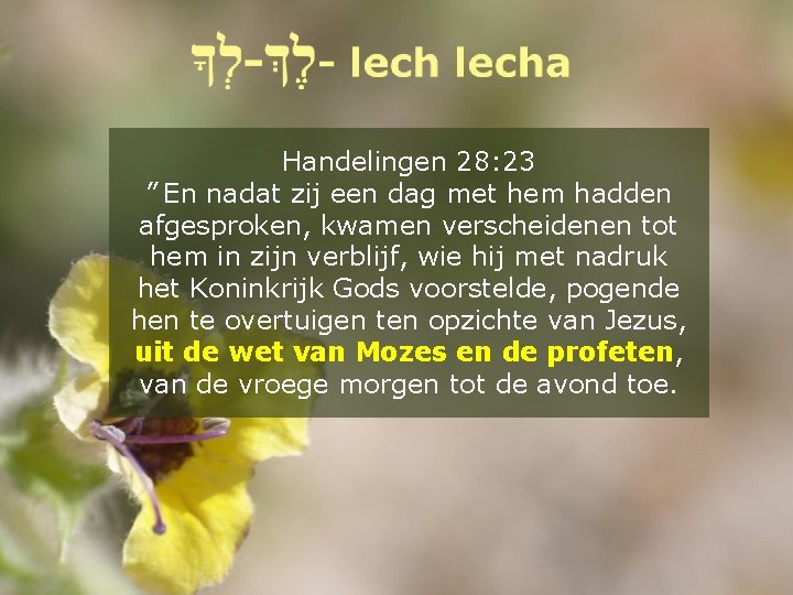 Handelingen 28: 23 ” En nadat zij een dag met hem hadden afgesproken, kwamen