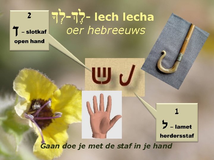 oer hebreeuws Gaan doe je met de staf in je hand 