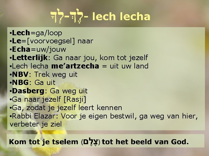  • Lech=ga/loop • Le=[voorvoegsel] naar • Echa=uw/jouw • Letterlijk: Ga naar jou, kom