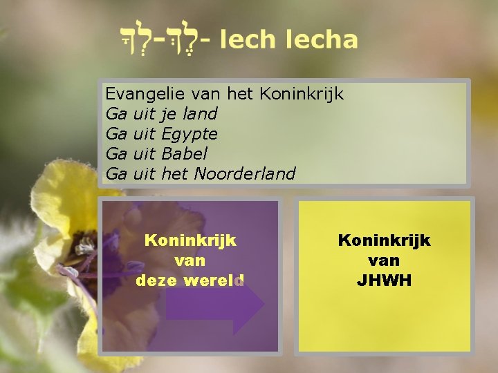 Evangelie van het Koninkrijk Ga uit je land Ga uit Egypte Ga uit Babel