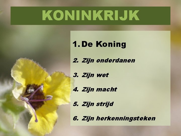 KONINKRIJK 1. De Koning 2. Zijn onderdanen 3. Zijn wet 4. Zijn macht 5.