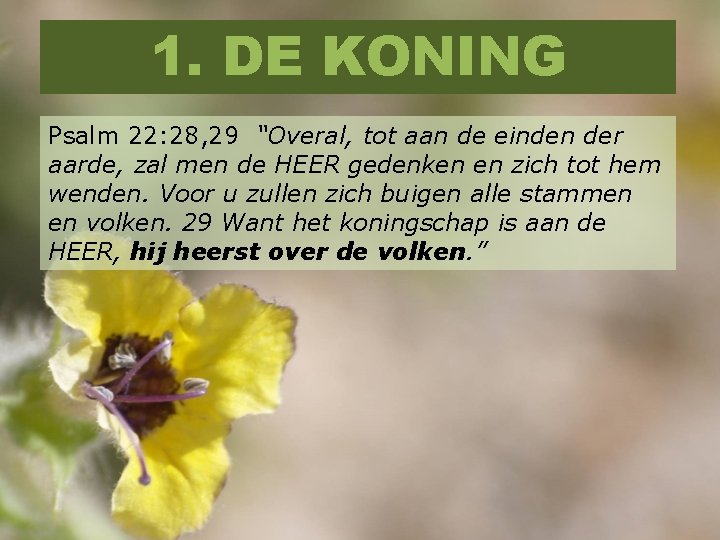 1. DE KONING Psalm 22: 28, 29 “Overal, tot aan de einden der aarde,