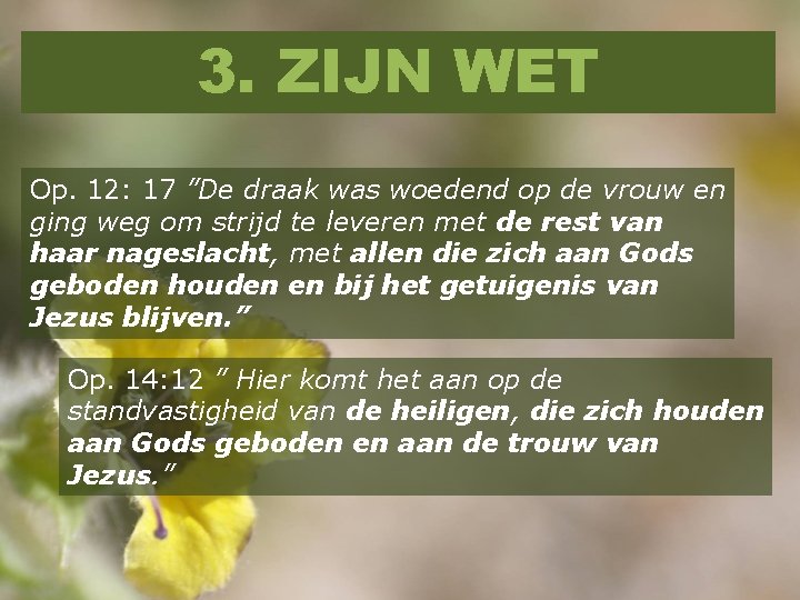 3. ZIJN WET Op. 12: 17 ”De draak was woedend op de vrouw en