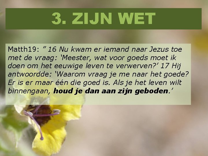 3. ZIJN WET Matth 19: ” 16 Nu kwam er iemand naar Jezus toe