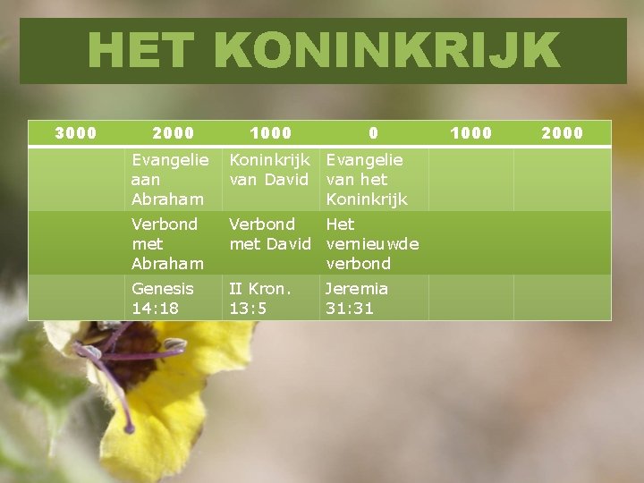 HET KONINKRIJK 3000 2000 1000 0 Evangelie Koninkrijk Evangelie aan van David van het