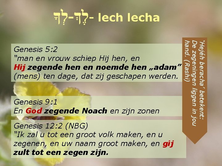 Genesis 9: 1 En God zegende Noach en zijn zonen Genesis 12: 2 (NBG)