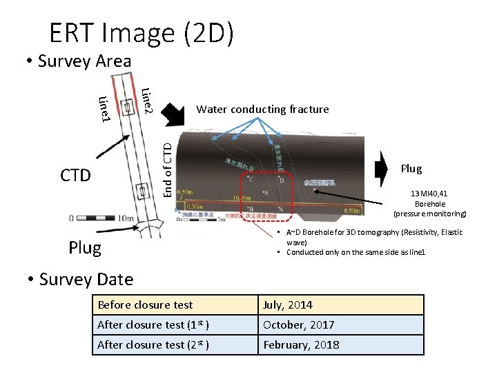 ERT Image (2 D) • Survey Area Line 2 End of CTD Line 1