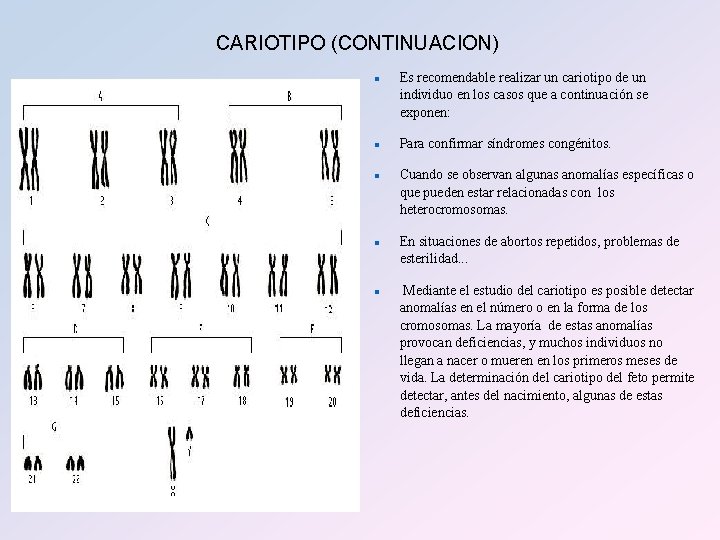 CARIOTIPO (CONTINUACION) n n n Es recomendable realizar un cariotipo de un individuo en