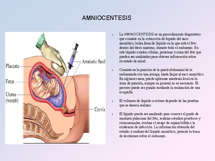 AMNIOCENTESIS n n La AMNIOCENTESIS es un procedimiento diagnóstico que consiste en la extracción