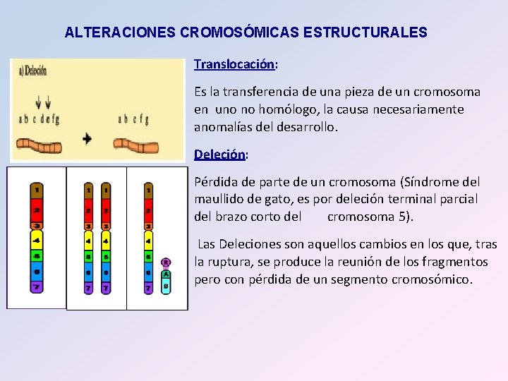 ALTERACIONES CROMOSÓMICAS ESTRUCTURALES Translocación: Es la transferencia de una pieza de un cromosoma en