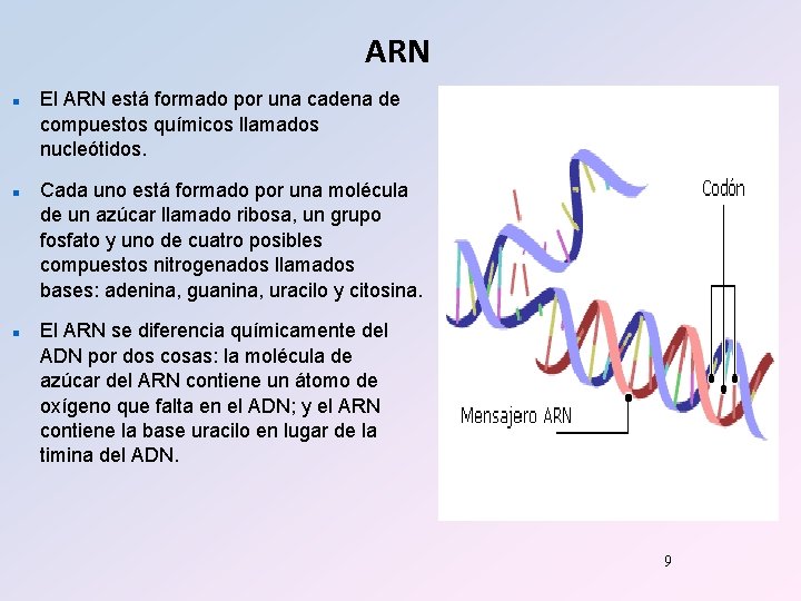 ARN n n n El ARN está formado por una cadena de compuestos químicos