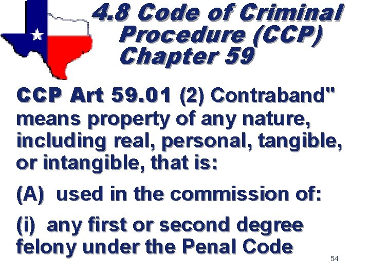 4. 8 Code of Criminal Procedure (CCP) Chapter 59 CCP Art 59. 01 (2)