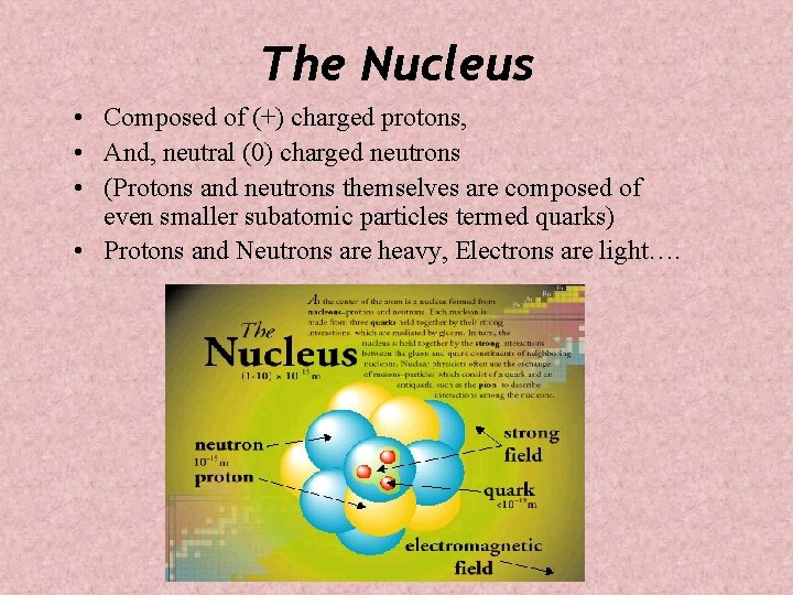 The Nucleus • Composed of (+) charged protons, • And, neutral (0) charged neutrons