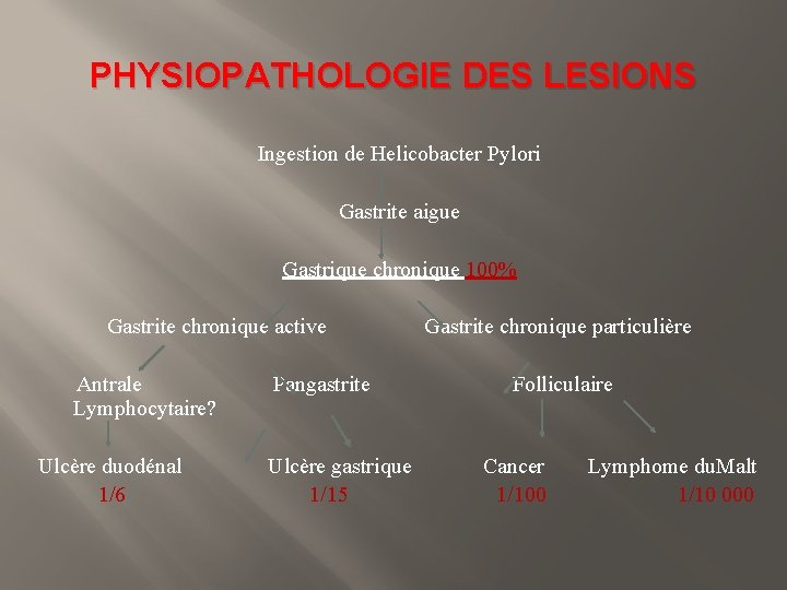 PHYSIOPATHOLOGIE DES LESIONS Ingestion de Helicobacter Pylori Gastrite aigue Gastrique chronique 100% Gastrite chronique