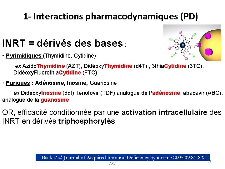 1 - Interactions pharmacodynamiques (PD) INRT = dérivés des bases : • Pyrimidiques (Thymidine, 1 - Interactions pharmacodynamiques (PD) INRT = dérivés des bases : • Pyrimidiques (Thymidine,