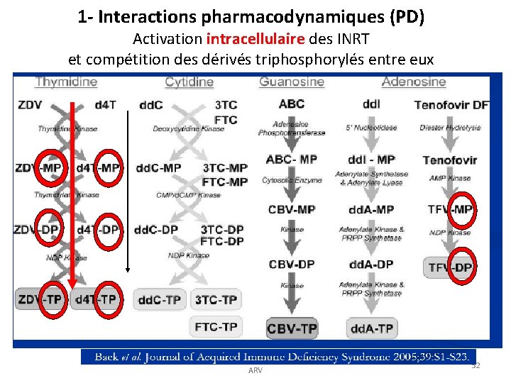 1 - Interactions pharmacodynamiques (PD) Activation intracellulaire des INRT et compétition des dérivés triphosphorylés 1 - Interactions pharmacodynamiques (PD) Activation intracellulaire des INRT et compétition des dérivés triphosphorylés