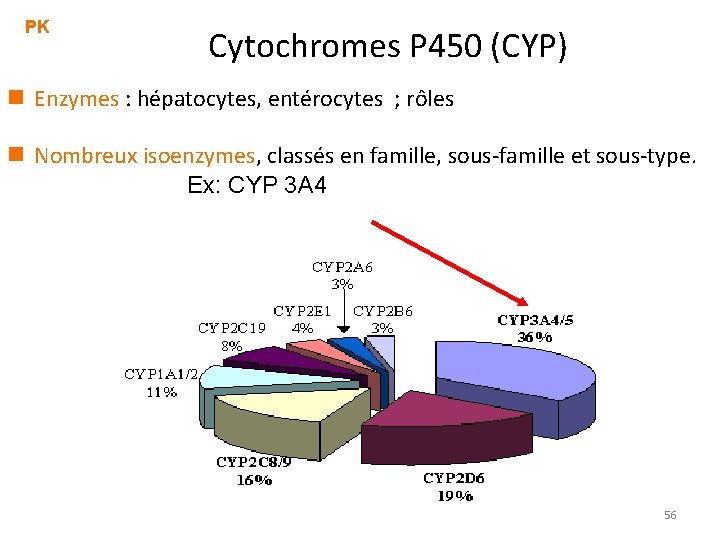 PK Cytochromes P 450 (CYP) n Enzymes : hépatocytes, entérocytes ; rôles n Nombreux PK Cytochromes P 450 (CYP) n Enzymes : hépatocytes, entérocytes ; rôles n Nombreux