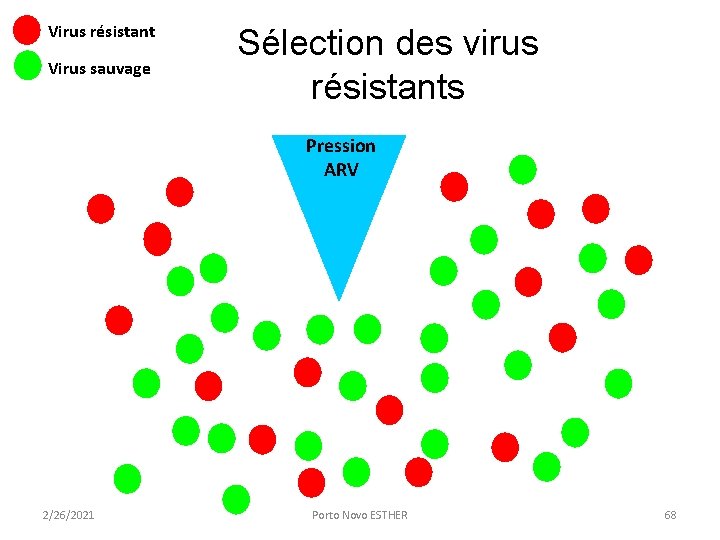 Virus résistant Virus sauvage Sélection des virus résistants Pression ARV 2/26/2021 Porto Novo ESTHER Virus résistant Virus sauvage Sélection des virus résistants Pression ARV 2/26/2021 Porto Novo ESTHER