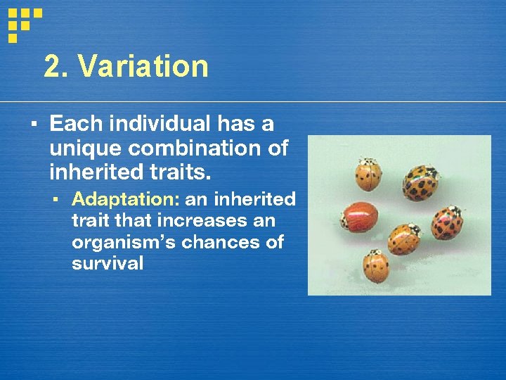 2. Variation ▪ Each individual has a unique combination of inherited traits. ▪ Adaptation: