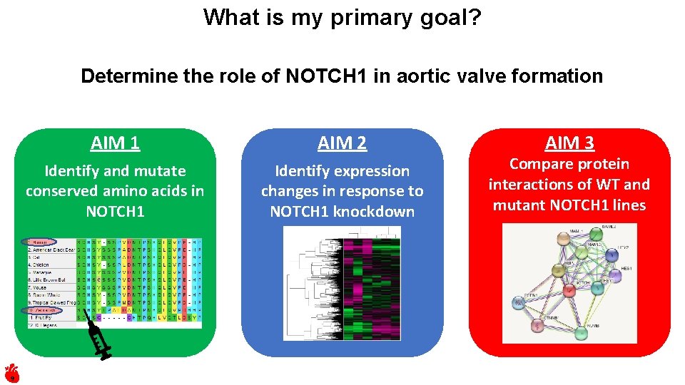 What is my primary goal? Determine the role of NOTCH 1 in aortic valve